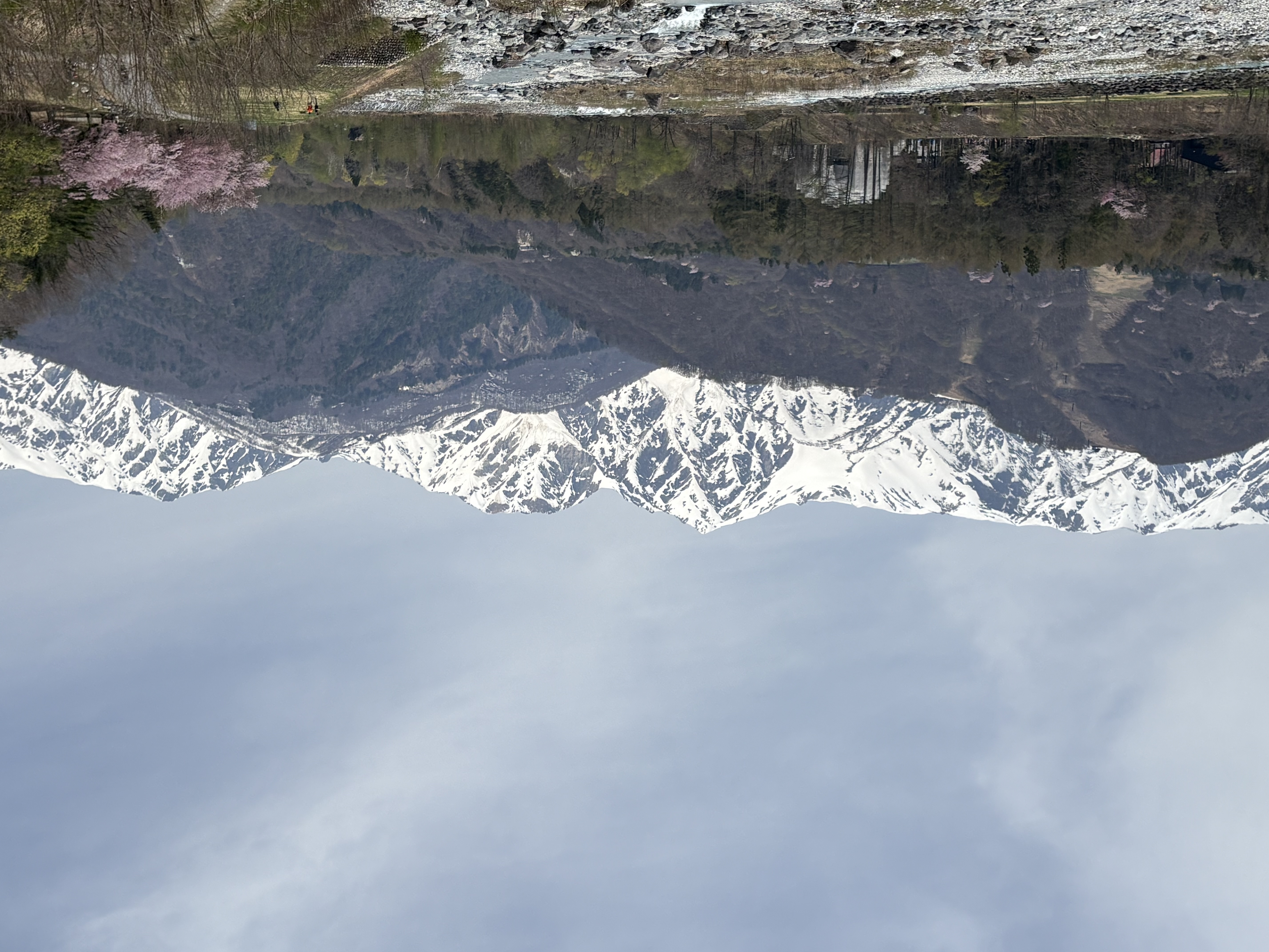 Hakuba, Cherry blossoms, Japanese Alp
